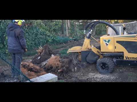 immagine di anteprima del video: Fresatura ceppi villa Castelli - Vermeer SC852